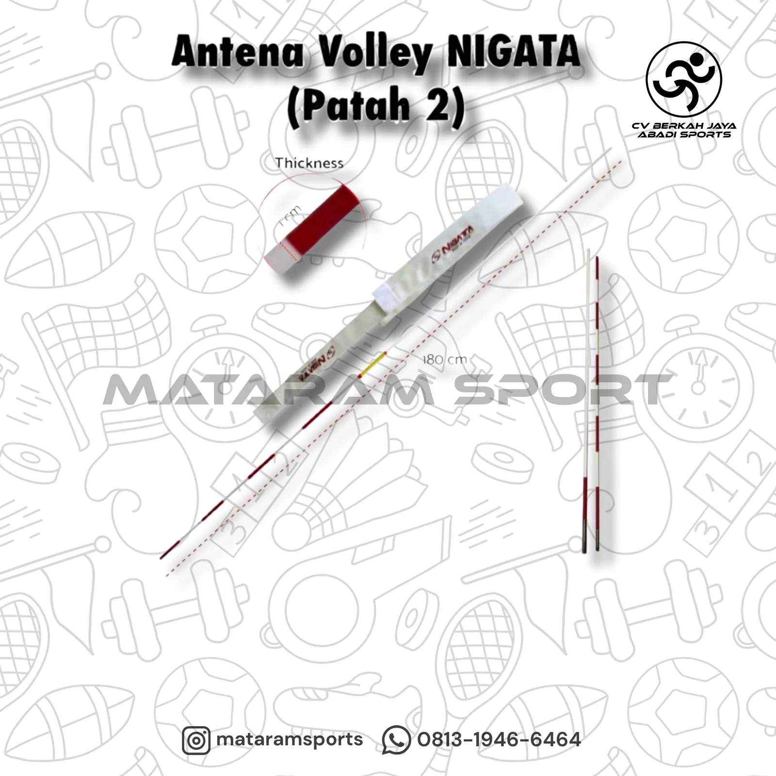 Antena Voli Volly Nigata Langsung dan Patah 2