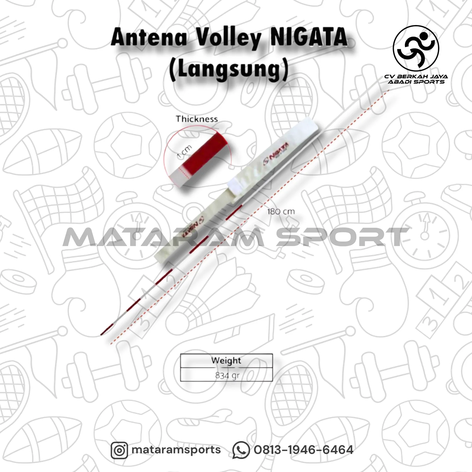 Antena Voli Volly Nigata Langsung dan Patah 2 2