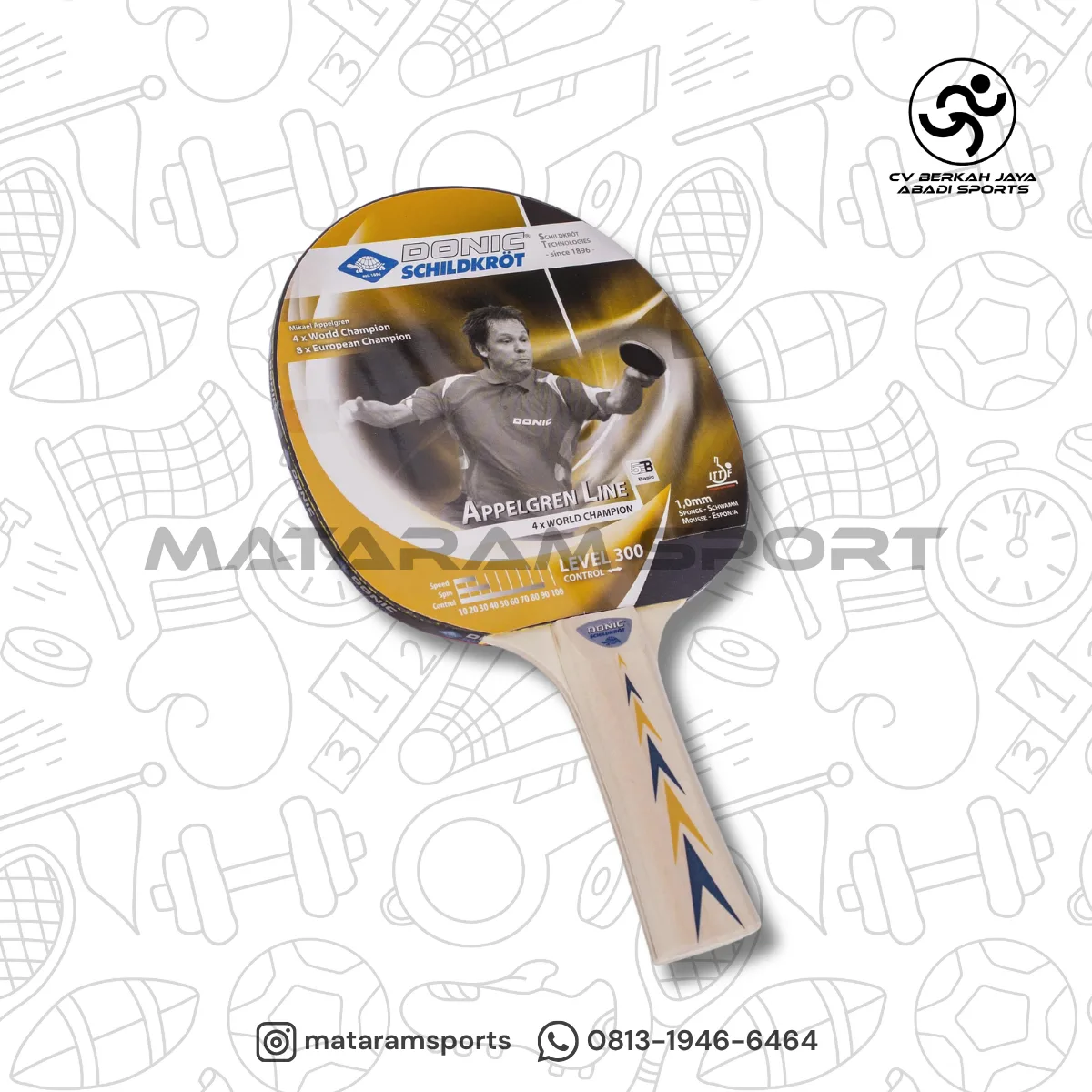 Bed Tenis Meja Donic Schildkrot Appelgren Line Level 300