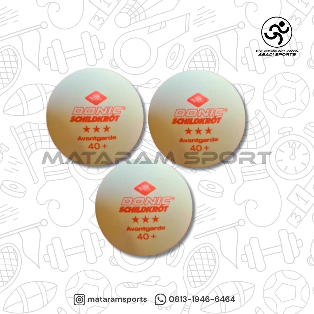 Bola Tenis Meja Donic Schildkröt Avantgarde 40+ 2