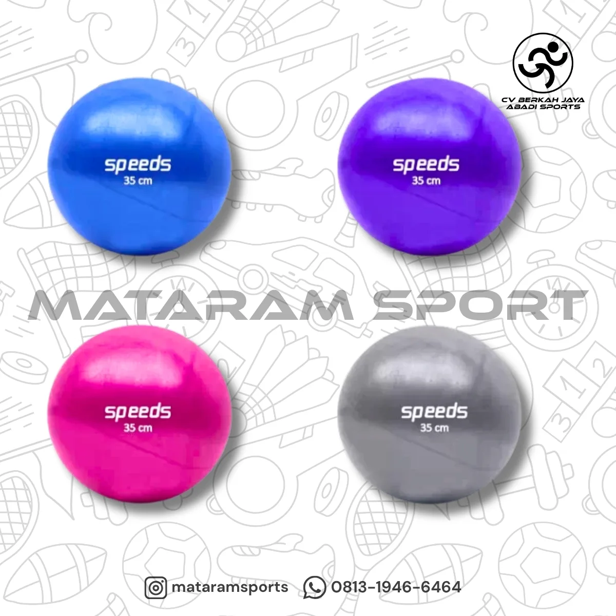 Gym Ball Speeds 65 cm