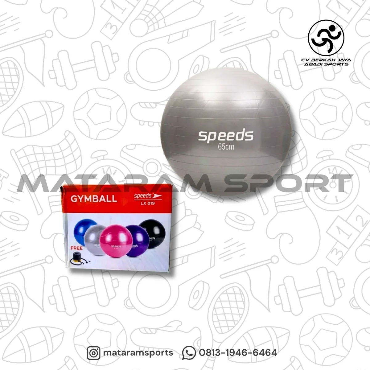 Gym Ball Speeds 65 cm 2