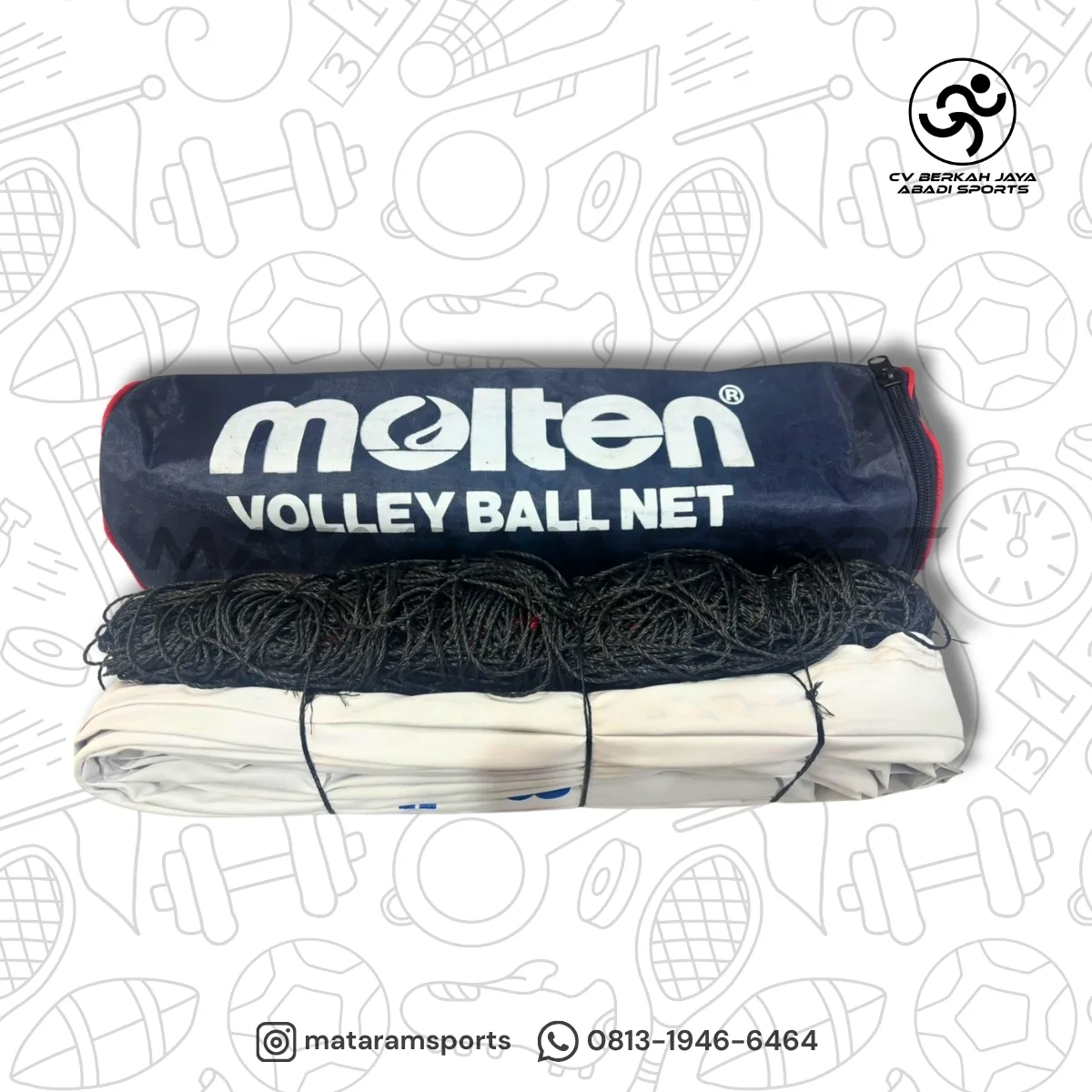 Net Voli Volly Molten