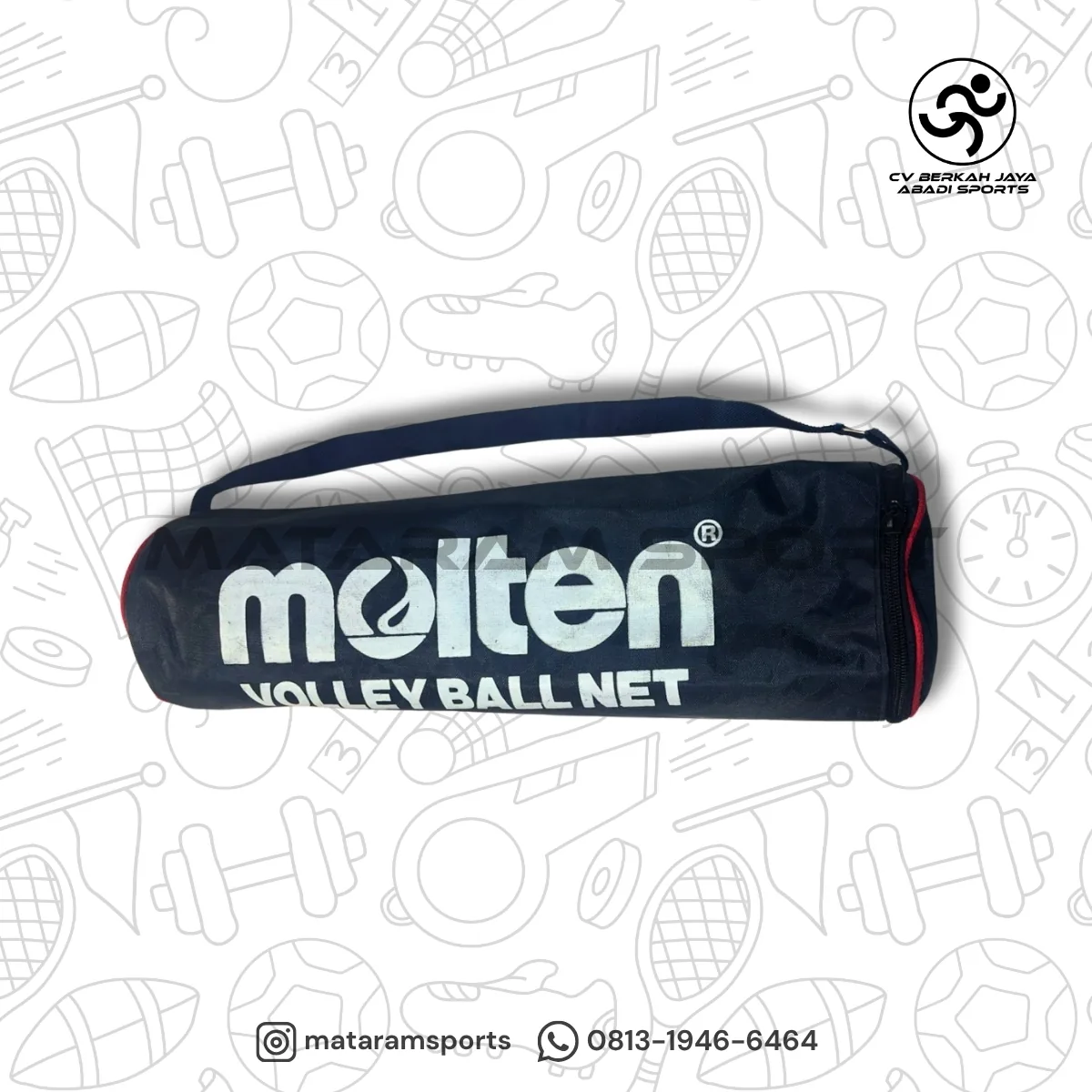 Net Voli Volly Molten 3