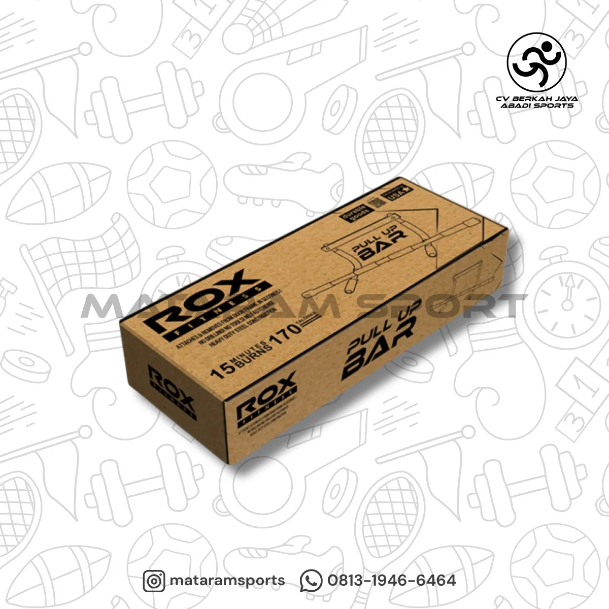 PULL UP BARS ROX RPU-3101 2