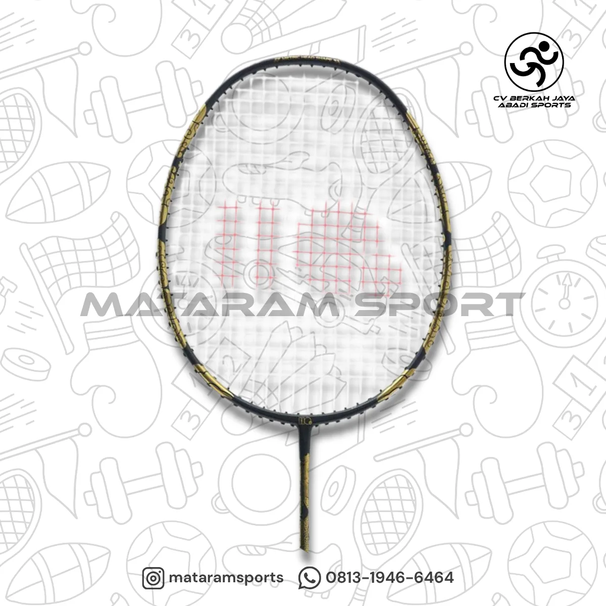 Raket Badminton Hi-Qua Dragon Series 2